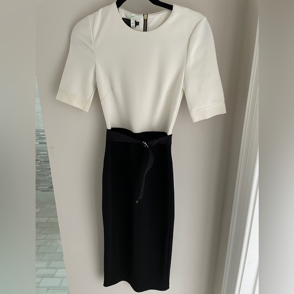 Ted Baker Wandee Colorblock D-Ring Sheath Dress